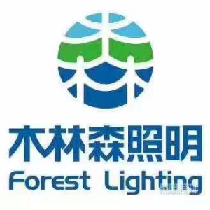 江西省木林森光电科技有限公司